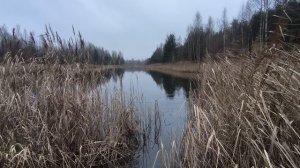 Пруд. ч.1. Декабрь 2025