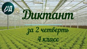 4 класс. Диктант за 2 четверть