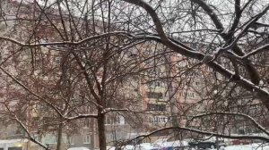 Зима пришла❄️/ Прогулка 🦮/ Покупки 🛒/ Готовим  ужин👍