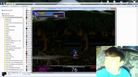 Sonic's Splatterhouse (PC) Gameplay