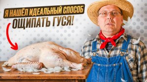 Секрет идеального ощипа| Гусь за 40 минут ПАРОМ| Чисто, сухо, без нервов| Мастер класс