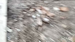 ПРОДУКТИВНО ПОРАБОТАЛИ. СОЖГЛИ МУСОР. НАВЕЛИ ПОРЯДОК.Суббота 06.12.25.