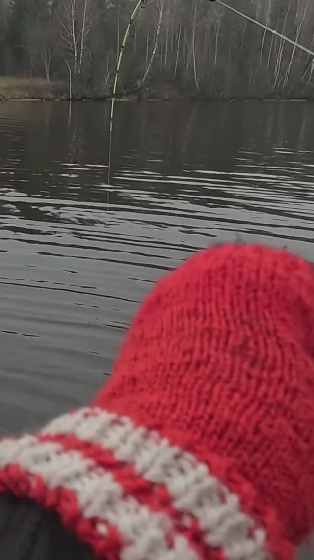 Ловим в отвес, на троллинг и джиг. Неожиданный трофей. Анонс