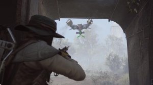 Играем в Arc Raiders➤Ищем редкое растение у обломков Барона для Лэнса