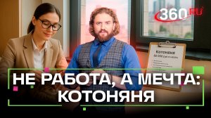 Заплатили, чтобы гладить: котоняня как работа мечты