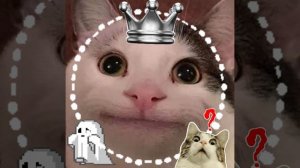 отвечаю на вопросы