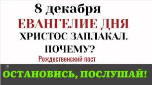 8 декабря Евангелие дня. Почему Христос заплакал_ (Лк. 19.37–44)