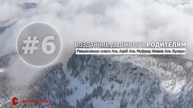 Разъяснение книги «Аль-Адаб аль-Муфрад». 6 урок | Шейх Абдур-Раззак аль-Бадр смотреть онлайн