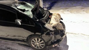 Водитель Honda сбил трех человек и сбежал с места аварии в Иркутской области