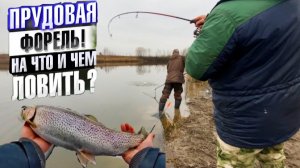 ПРУДОВАЯ ФОРЕЛЬ!На что и чем ЛОВИТЬ?ЗАКРЫТИЕ СЕЗОНА 2025?