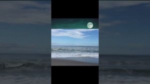 Тайны моря (1)