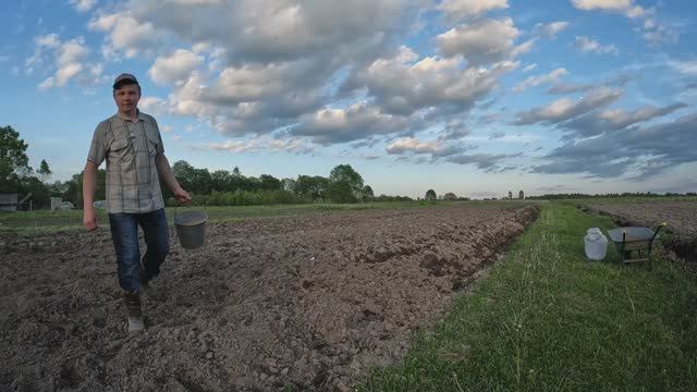 Посев пшеницы в ручную.