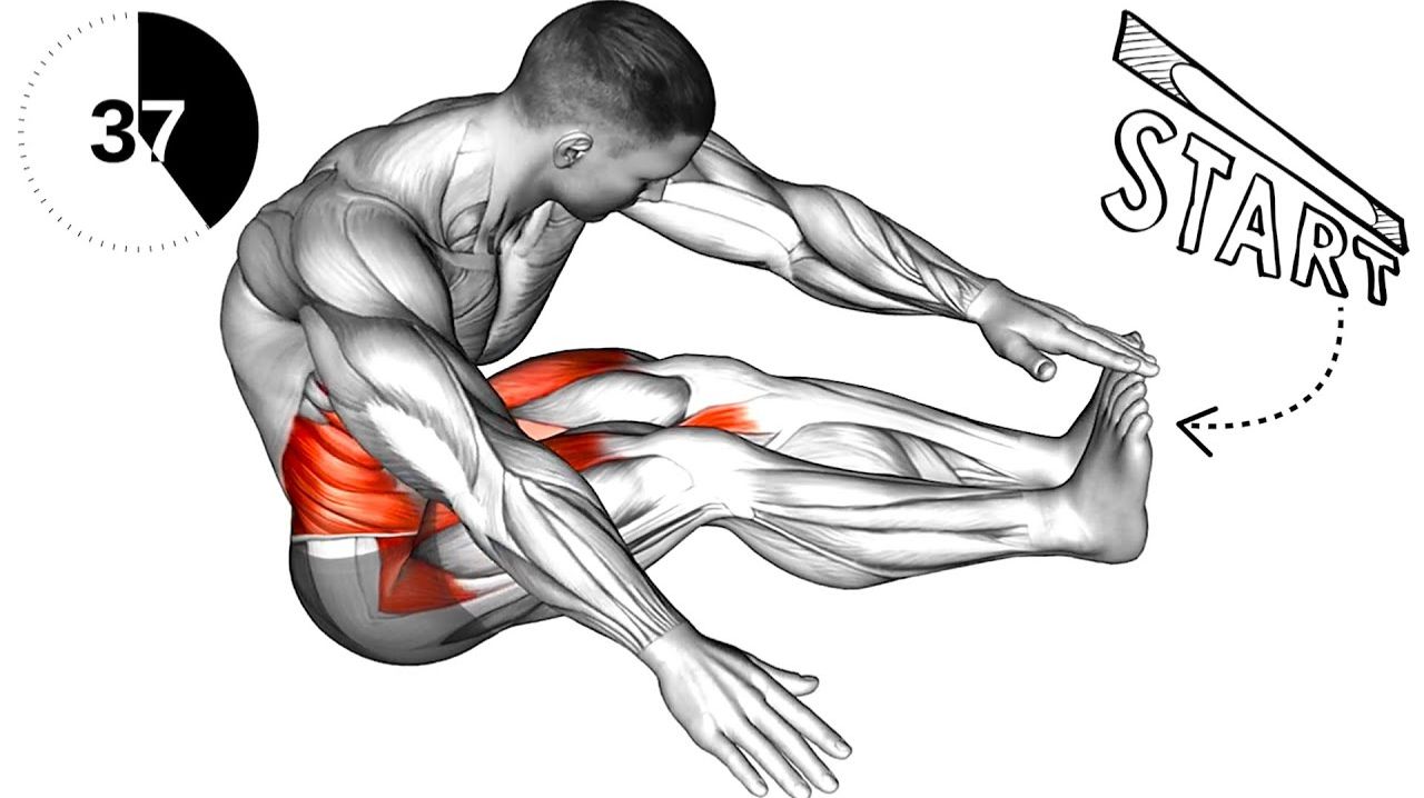 Лучшие УПРАЖНЕНИЯ на Растяжку для Улучшения Гибкости и Подвижности