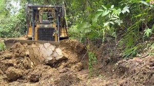 Строительство, лесная дорога , следующий обзор