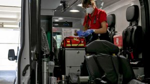 Старушка переломала кости после нападения на нее гусей в парке