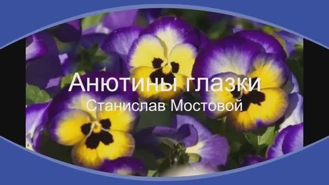 Анютины глазки