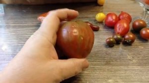 Сорта томатов длительного хранения