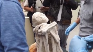 5 УДИВИТЕЛЬНЫХ ВЕЩЕЙ В КОТОРЫЕ ТРУДНО ПОВЕРИТЬ