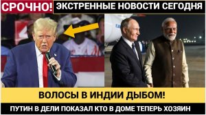ВОЛОСЫ В ИНДИИ ДЫБОМ! Визит Путина в Индию показал, что Россия диктует правила игры