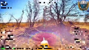 ФПВ ВС ПФ по  позициям ВСУ на Запорожье!