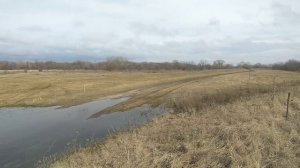 ВЕСНА 2023 ГОД