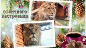 Отличного настроения!