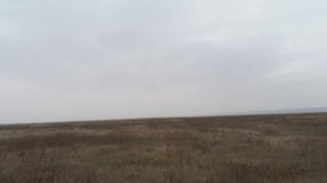 Крепкий заяц,пришлось побегать!Охота на зайца