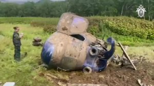 Находка знахарки .