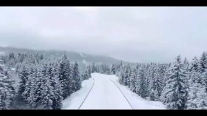 Богородица Дево Радуйся