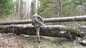 НЕ СТРЕЛЯЛ ДО ПОСЛЕДНЕГО И ВОТ ШАНС. ОХОТА ПО НОВЫМ МЕСТАМ. ЕЩЕ ОДИН ЗВЕРЬ НА СЧЕТУ.