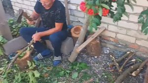 ОБЫЧНАЯ ЖИЗНЬ В СЕЛЕ/ ХРОНИКА/ СЕНТЯБРЬ 2024г.