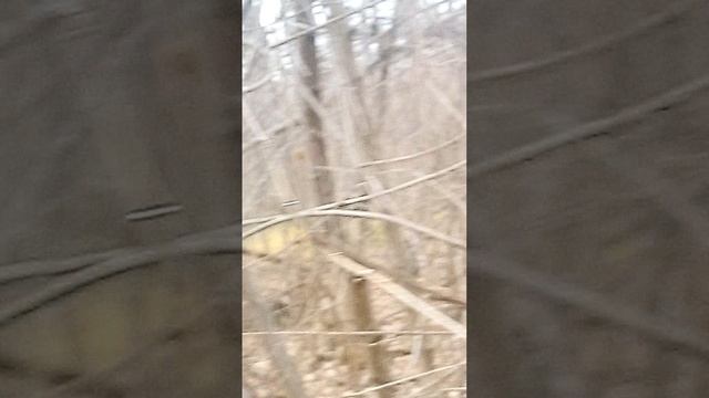 VID_20251107_135438 смотреть онлайн