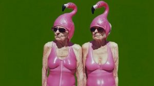 Розовый фламинго_encoded