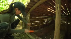 Девушка строит убежище в лесу среди кабанов.