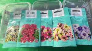 Открываю посевной сезон петунии для дальнейшего черенкования. Лунный календарь на декабрь 2025 г.