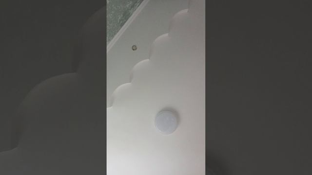 1000018840.mp4 смотреть онлайн