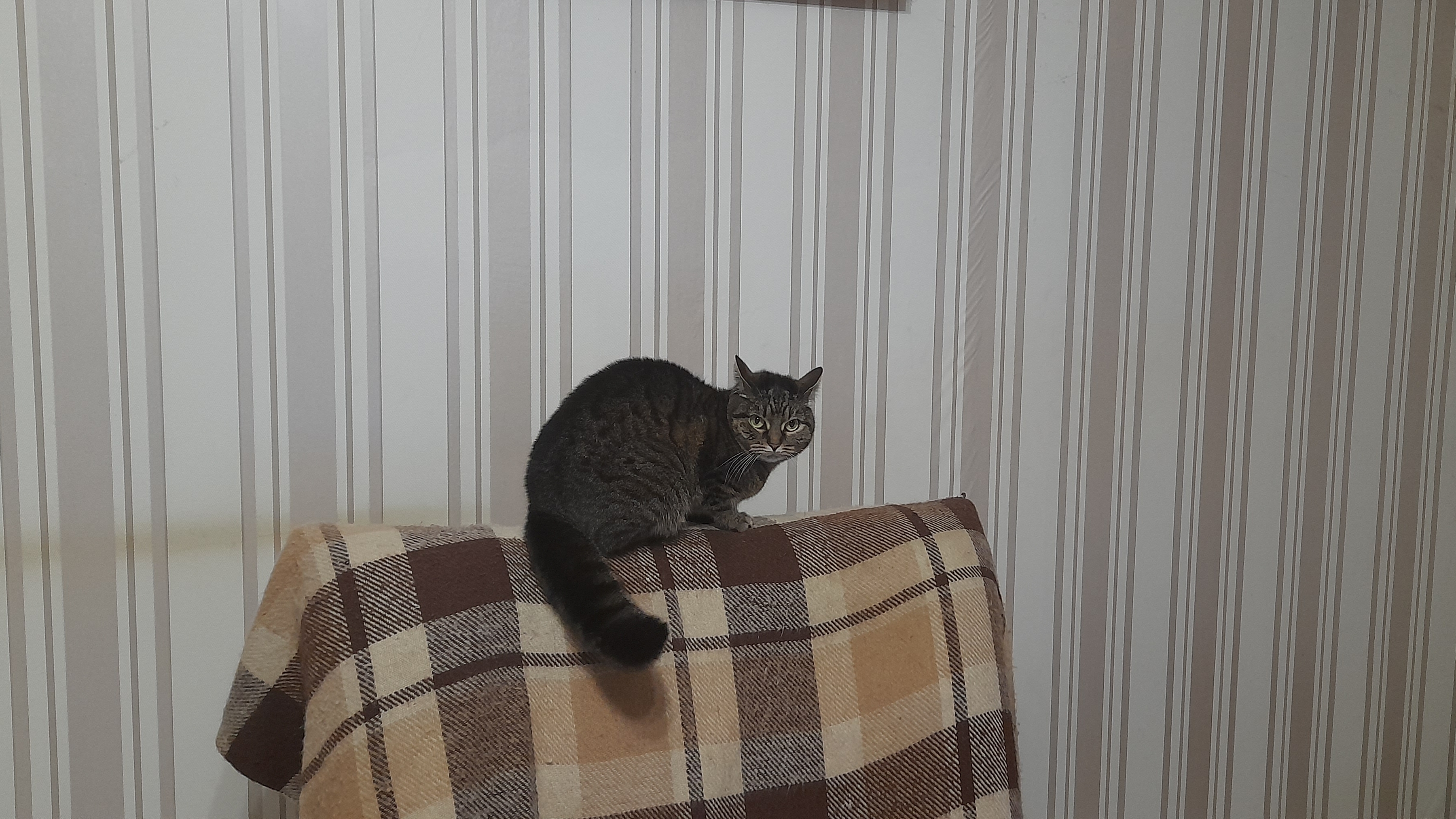 Соня, швабра, мамина помощьница!