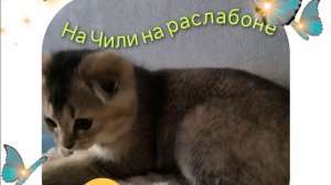 Power trip в Geometry Dash Subzero как пройти