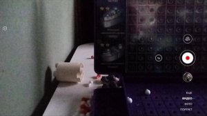 SVID_20251108_140638_1.mp4