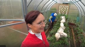 6 соток 26 мая 2021 год. На дачу. Сажаю сирень Примроуз. Готовлю клумбы для цвет