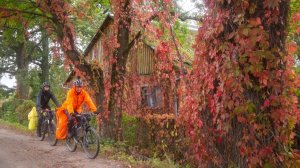 Наш осенний вояж. Калининград 2024