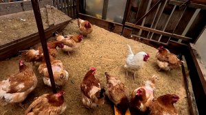 Гарантировать ни чего нельзя...