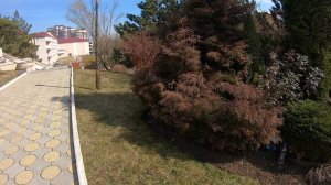 Кисловодск 3