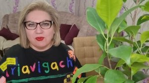 Система в Таиланде запомнила их❗️Будут гонять❓️