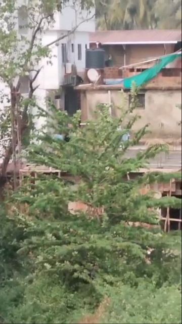 ГОА Строительство нового отеля