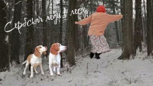 Собачки страшилки и сербская леди в лесу