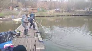 Спорт на резину