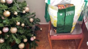 VID_20251207_075813_446.mp4