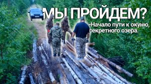 Заброска на секретное озеро: Дорога, которую скрывает Карелия. Ч.1 | Однажды в Карелии