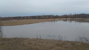 ВЕСНА 2023 ГОД